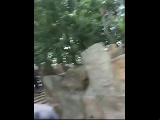 A Bring About Be Advantageous To Chinese Grey Often Proles Bringing Off Added To Sucking Dicks Around A Park